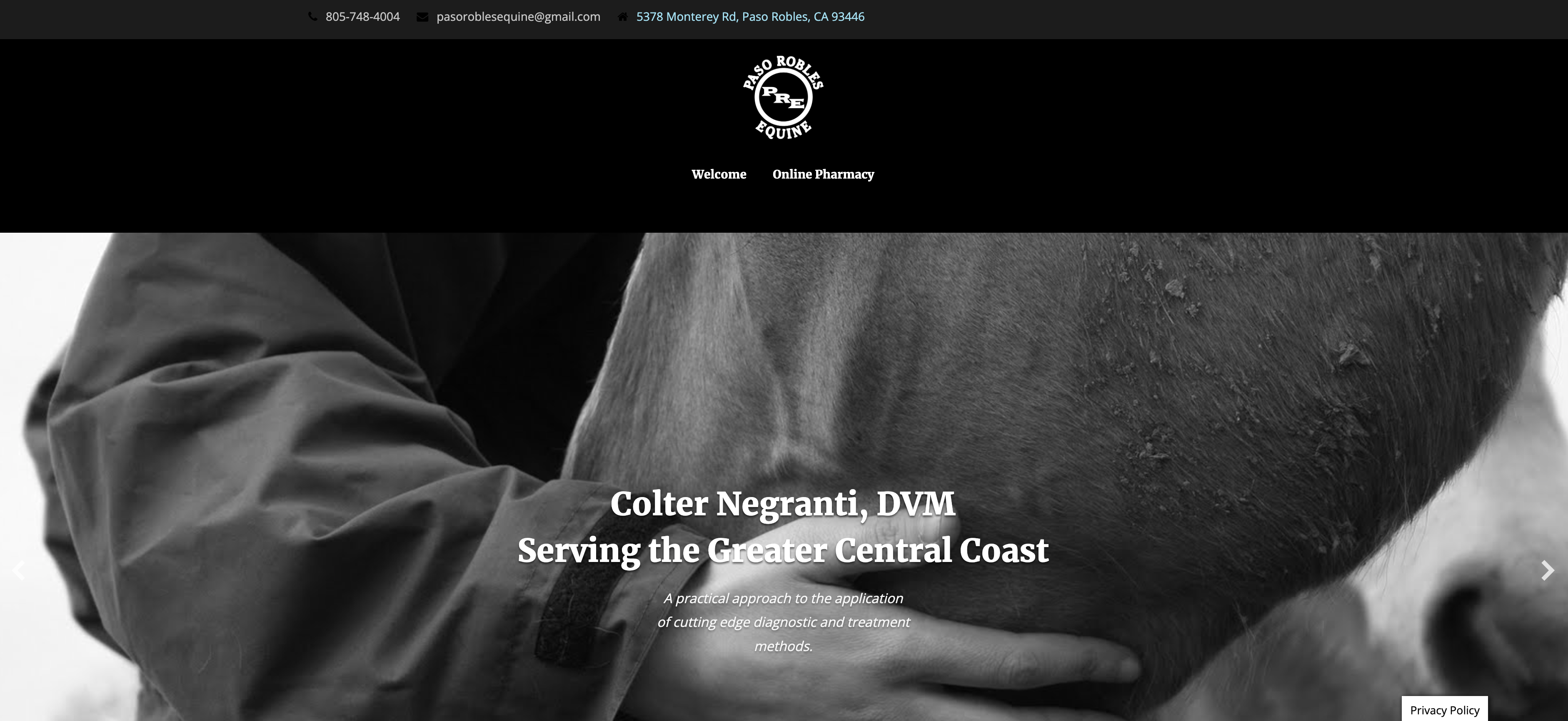 Website Design for Equine Veterinarians California