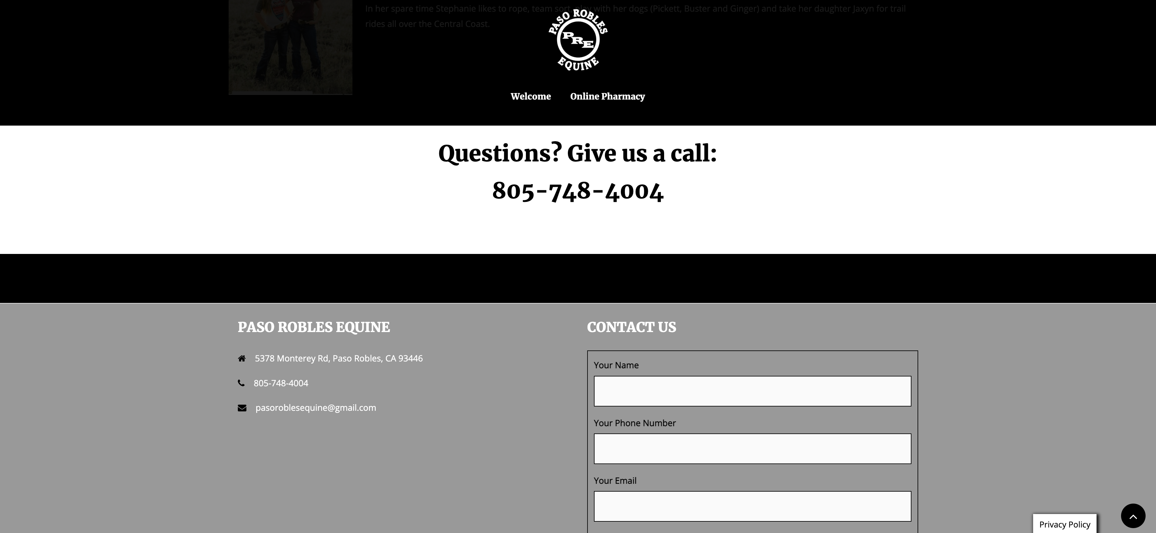 Website Design for Equine Veterinarians California