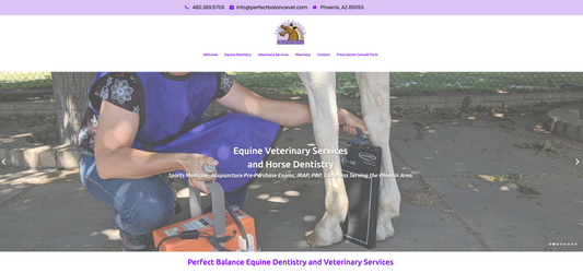 Perfect Balance Equine Dentistry and Veterinary Services