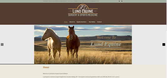 Branding and Web Design For Equine Veterinarians
