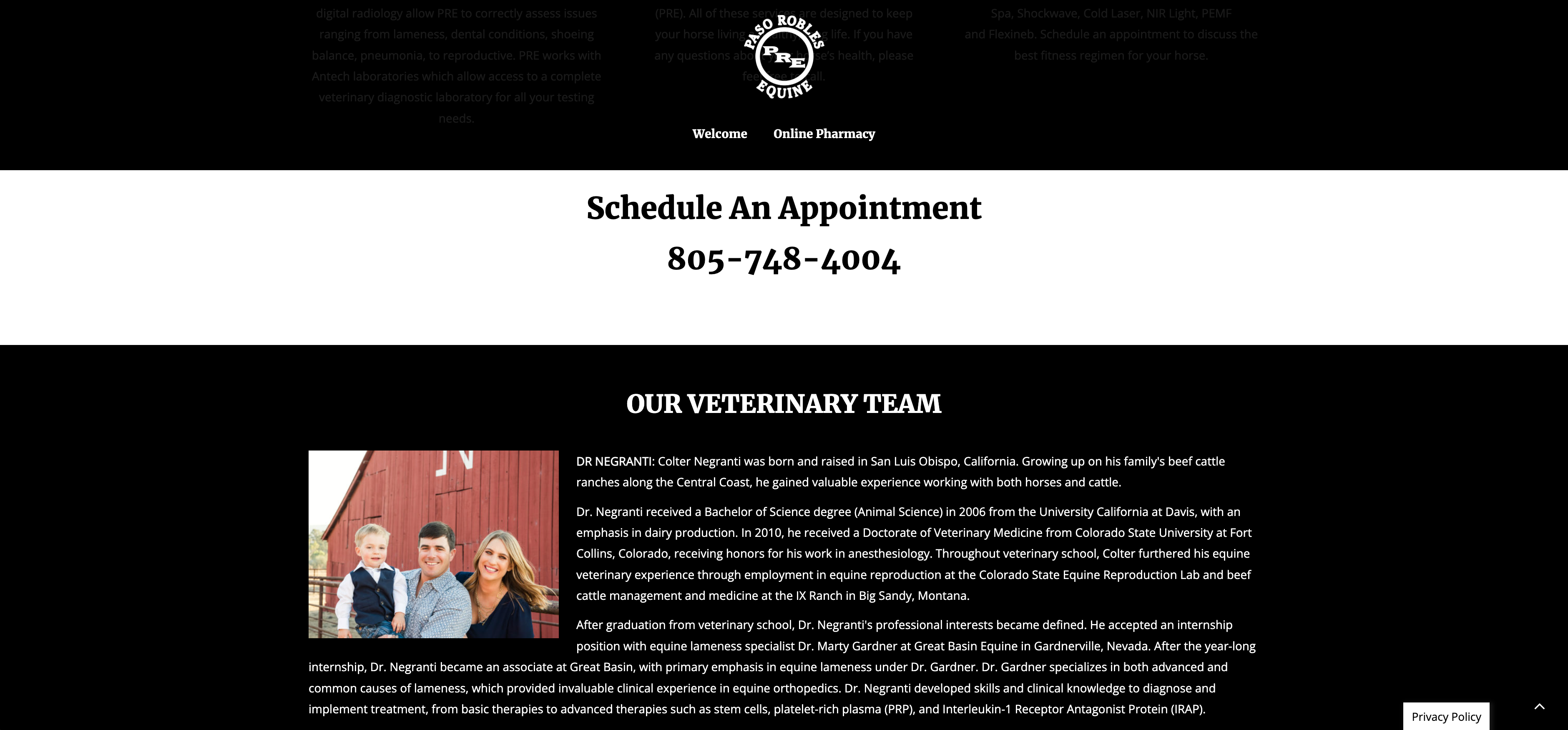 Website Design for Equine Veterinarians California