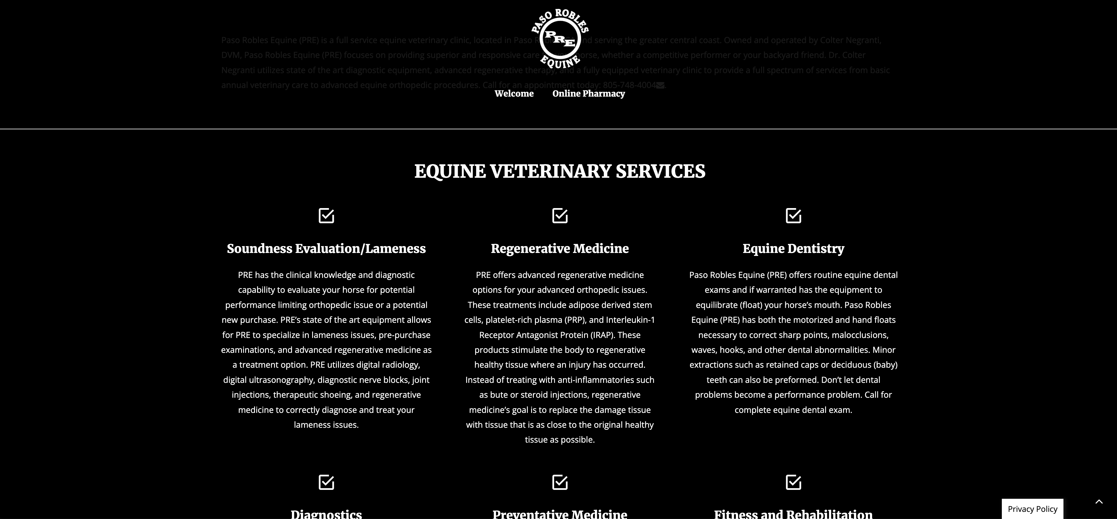 Website Design for Equine Veterinarians California
